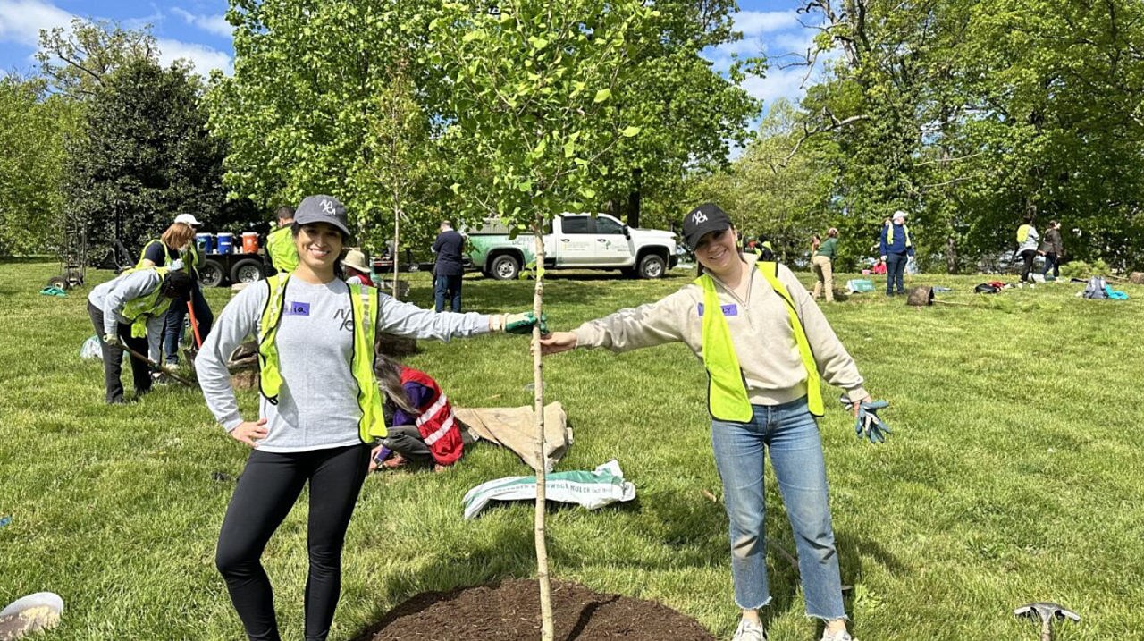 MOI team planting a tree