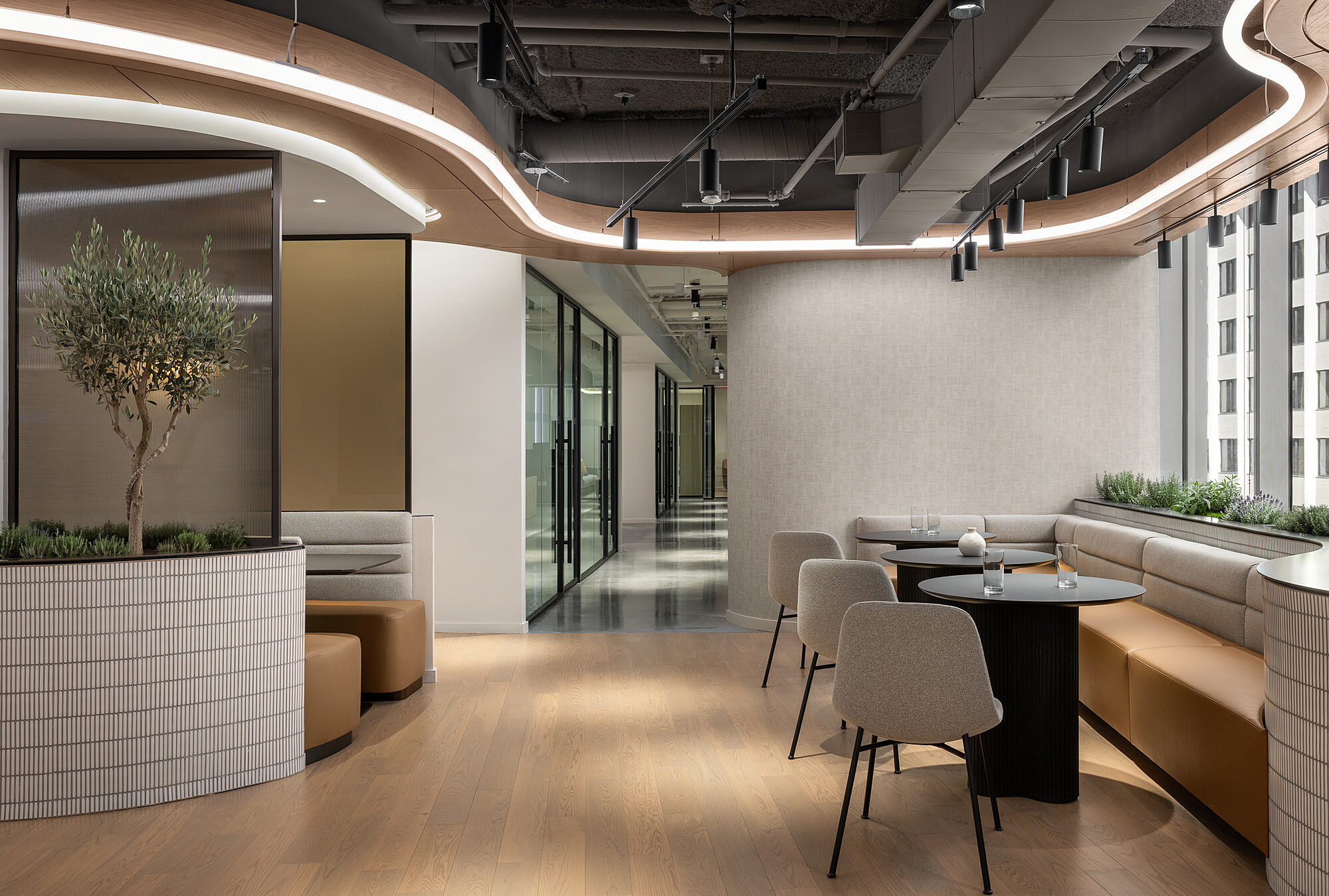 Modern Office Space