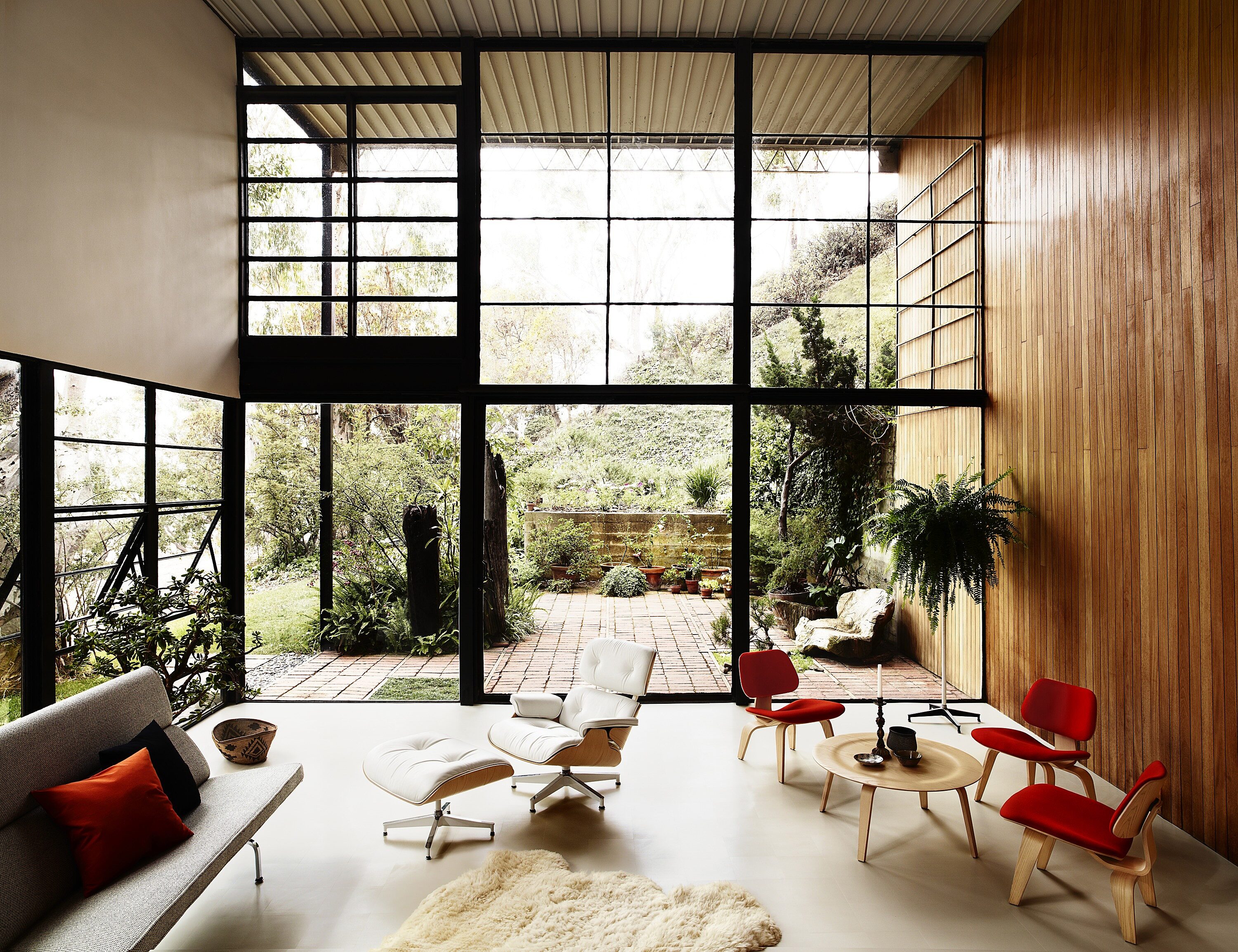 wood walled modern home