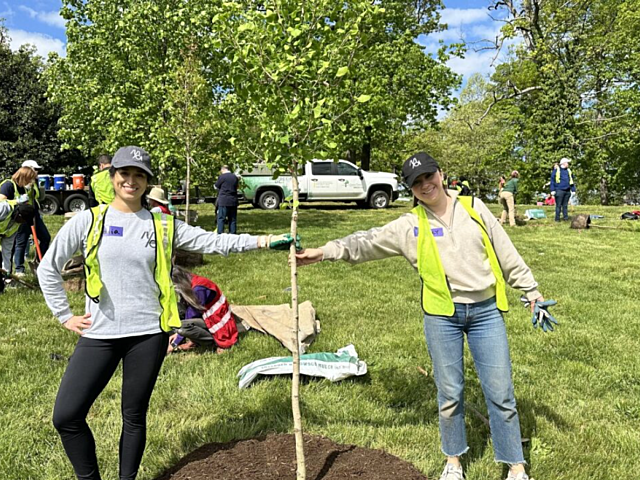 MOI team planting a tree
