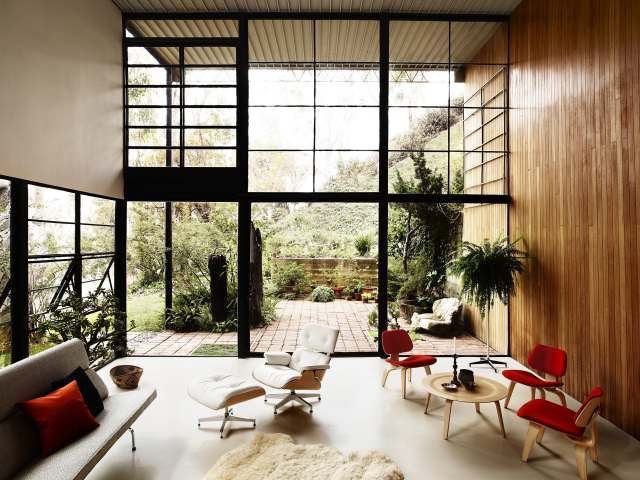 wood walled modern home